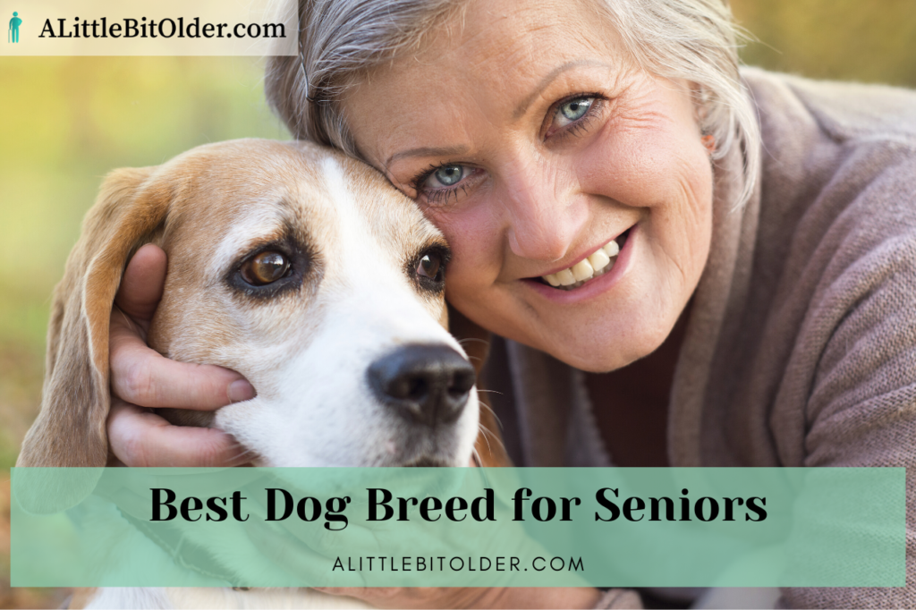 best-dog-breed-seniors-1280x853